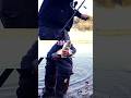 Video Thumbnail for River fishing  at NSR  #fishing #shorts #riverfishing