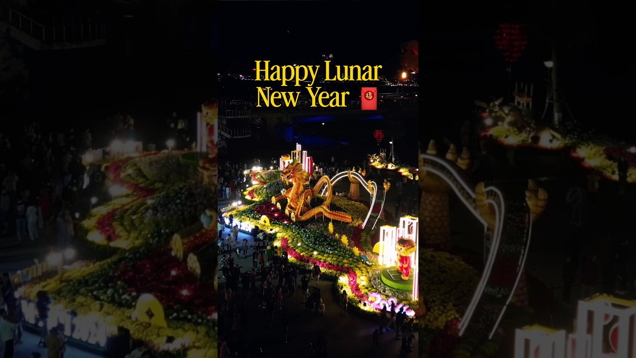 Happy Lunar New Year 🧧 #vietnam #danang #dragon
