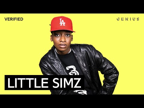 Little Simz "Gorilla" Official Lyrics & Meaning | Verified