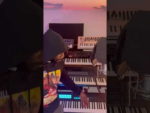 Dotty Stax Rich Flex Freestyle