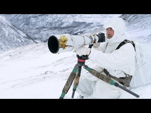 4 DAY SOLO WINTER CAMPING AND WILDLIFE PHOTOGRAPHY - off grid adventure behind the scenes in Norway