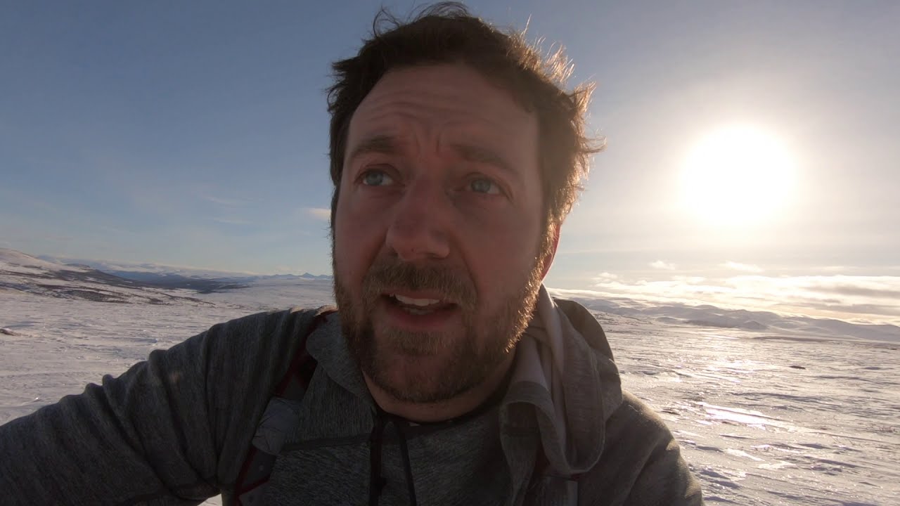 wildlife photography at ellesmere island norway morten hilmer