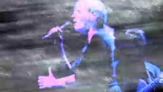 Two Loons for Tea: This Mortal Rodeo