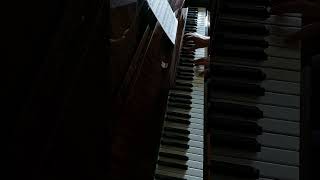 Y.Tiersen - Yuzin #shorts #music #piano
