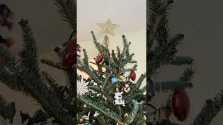 Never Get a live Christmas Tree!! 😳 #christmas #christmastree #ticks #christmasdecorations #holiday
