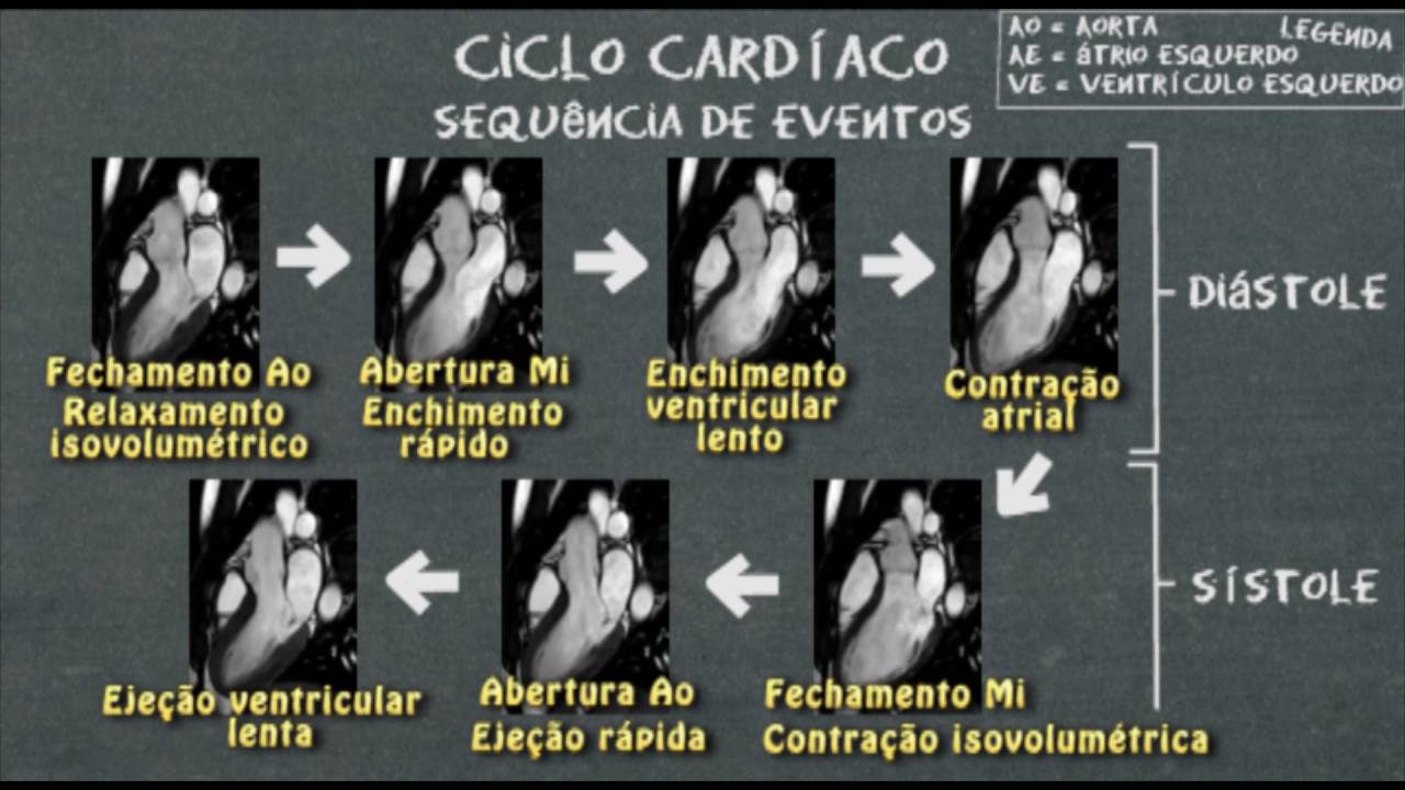Fisiologia cardíaca Ciclo cardíaco - Sístole e Diástole