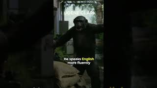 Did You Know In DAWN OF THE PLANET OF THE APES…