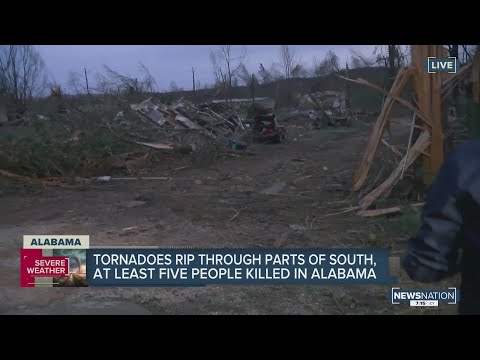 After the storm: Meteorologist tours damage in Alabama town hit by tornado