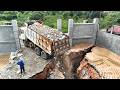 Fantastic Landfill Task! Fill Stone into Last Flood Block Use Shantui DH17C3 Dozer & 25T Dump Truck