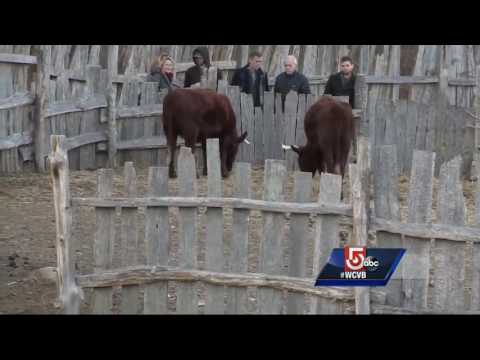 Archaelogists may have discovered original 1620 Plymouth settlement