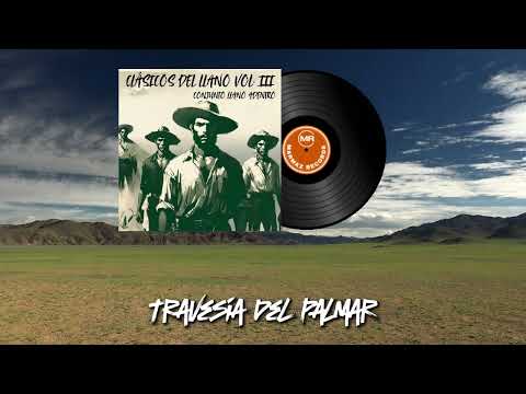 Travesía del Palmar - Conjunto Llano Adentro | Instrumental Llanero 🌴🎻