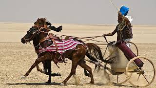 [♫] David Coffin - Roll the Old Chariot Along (2015) [Sea Shanty]