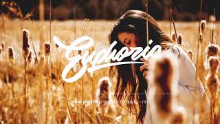 Good Intentions - RINI