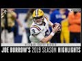 Heisman Trophy Winner Joe Burrow's 2019 Season Highlights | CBS Sports