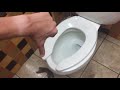 2 146 Ragu Italian Kitchen Unisex Restroom