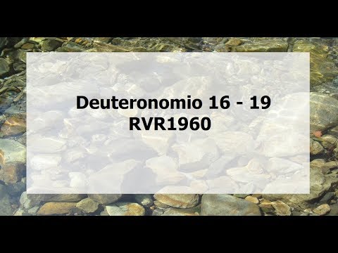 La Biblia hablada/Deuteronomio 16 - 19