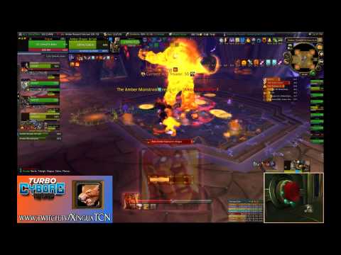 TCN vs. Heroic Amber-Shaper 10 (Guardian Druid POV)