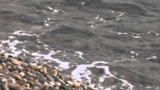 Chris de Burgh - Go Where Your Heart Believes (Official)