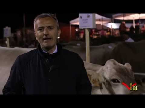 A Grosio 1.500 presenze per la "Serata con la bruna"