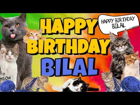 Happy Birthday Bilal! Crazy Cats Say Happy Birthday Bilal (Very Funny)