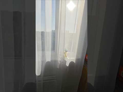 фото байкальская ул, 3, минск, 2 комн., 50 м² 0