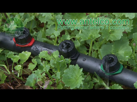 Antelco CETA Pressure Compensating PC Drippers