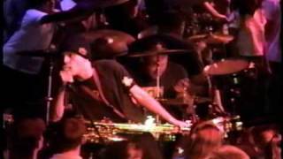 Rebel Youth - The Dingees