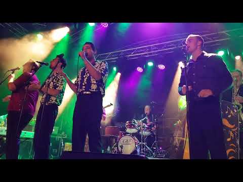 NEW TONES (NEWTONES) & VELVET CANDLES - Runaround Sue - live at Feel the 50s, Venlo 2022