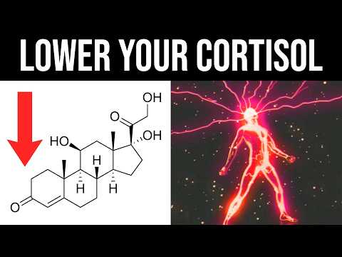 How to Lower Cortisol - No BS Practical Guide (Foods, Supplements, Exercise and More)