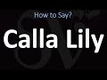 How to Pronounce Calla Lily? (CORRECTLY)