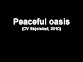 Dag V. Skjelstad - Peaceful oasis