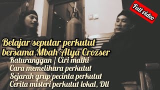 Download lagu Belajar seputar dunia misteri burung perkutut lokal @perkututklangenanchannel7514 mp3