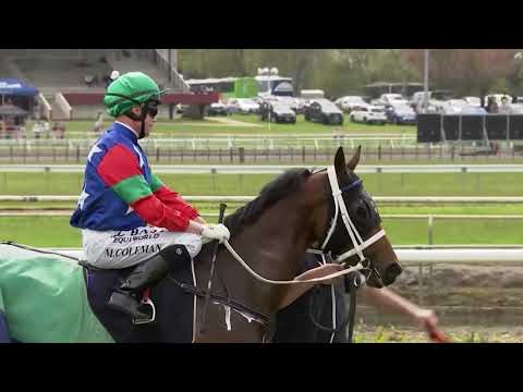 Supreme Hights | Matamata