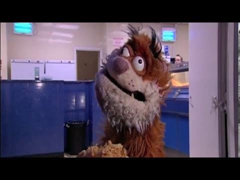 CAT'S BRITAIN - 'Dick & Dom in da Bunglow's' cat goes to Cleethorpes