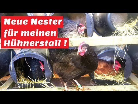 , title : 'Neue Nester für meinen Hühnerstall ! Alles im Eimer ! Oder doch nicht ?'