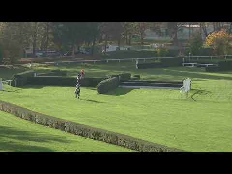 26. 10. 2019 - 6. dostih - Cena města Pardubic