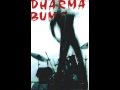 "No promise have I made" / Dharma Bums (Hüsker Dü's cover) / Demo 1995 /