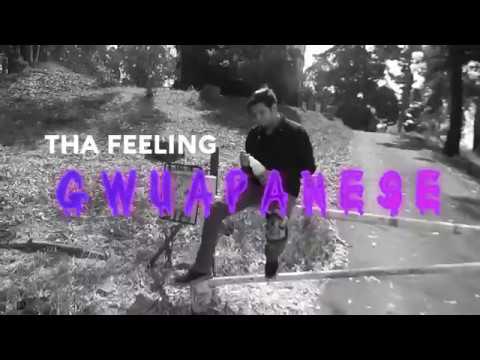 THA FEELING  - GWUAPANESE  ( DIR @ITZJONNYBOYY )