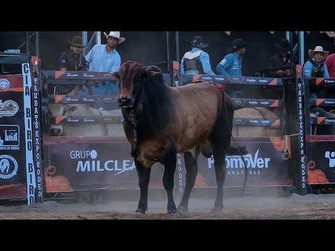 FINAL BULL RIDING COMPETITION | Taubaté-SP Rodeo 2025