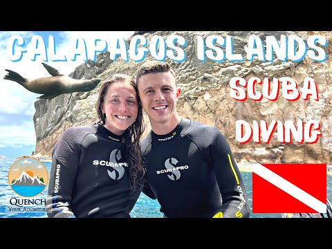 BEGINNER SCUBA DIVING, GALAPAGOS ISLANDS | North Seymour & Daphne Island from Santa Cruz Island