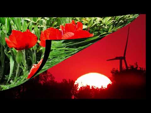 't kapelleke { Ave Maria }