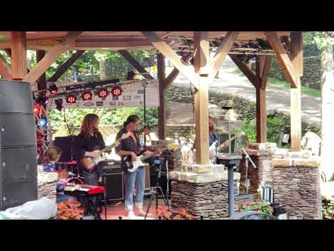 Cordovas - at Reevestock Music Festival