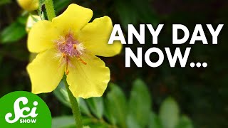 6 of the Longest Experiments Ever