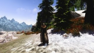 Прохождение Skyrim Association #19. И снова на пути в Данстар...