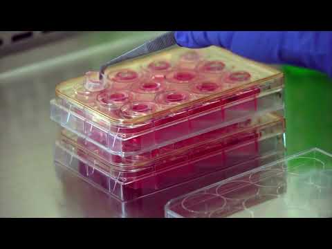 EpiIntestinal Dosing Demonstration