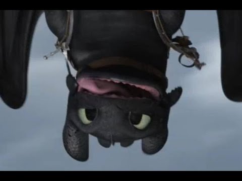 Toothless, my best friend's brother