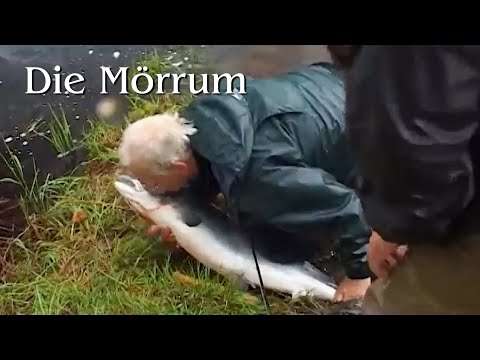 Die Mörrum (Full Movie - German)