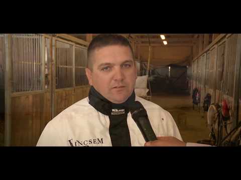 XII. Ügető árverés 2018. - Interjú Kolozsi Lászlóval