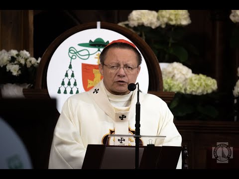 Kard. Ryś: Bóg, kiedy wchodzi z nami w przyjaźń, to nas dźwiga | Łódź 2025