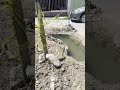 Homepage 1 Video thumbnail